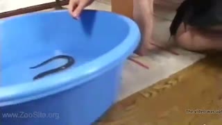 Казак кызы чоң котунда балык менен