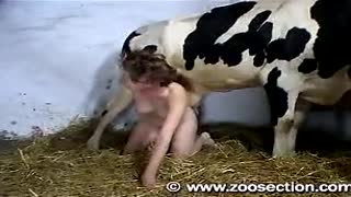 Бир аял уйдун котуно сигишет, экинчиси жылкыны соруп