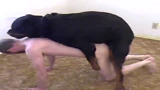 Зоофиланы чоң ит урат